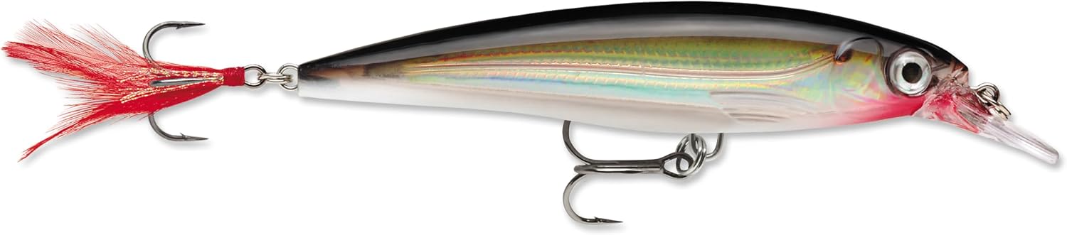 Rapala X-Rap Jerkbait XR10 Fishing Lure