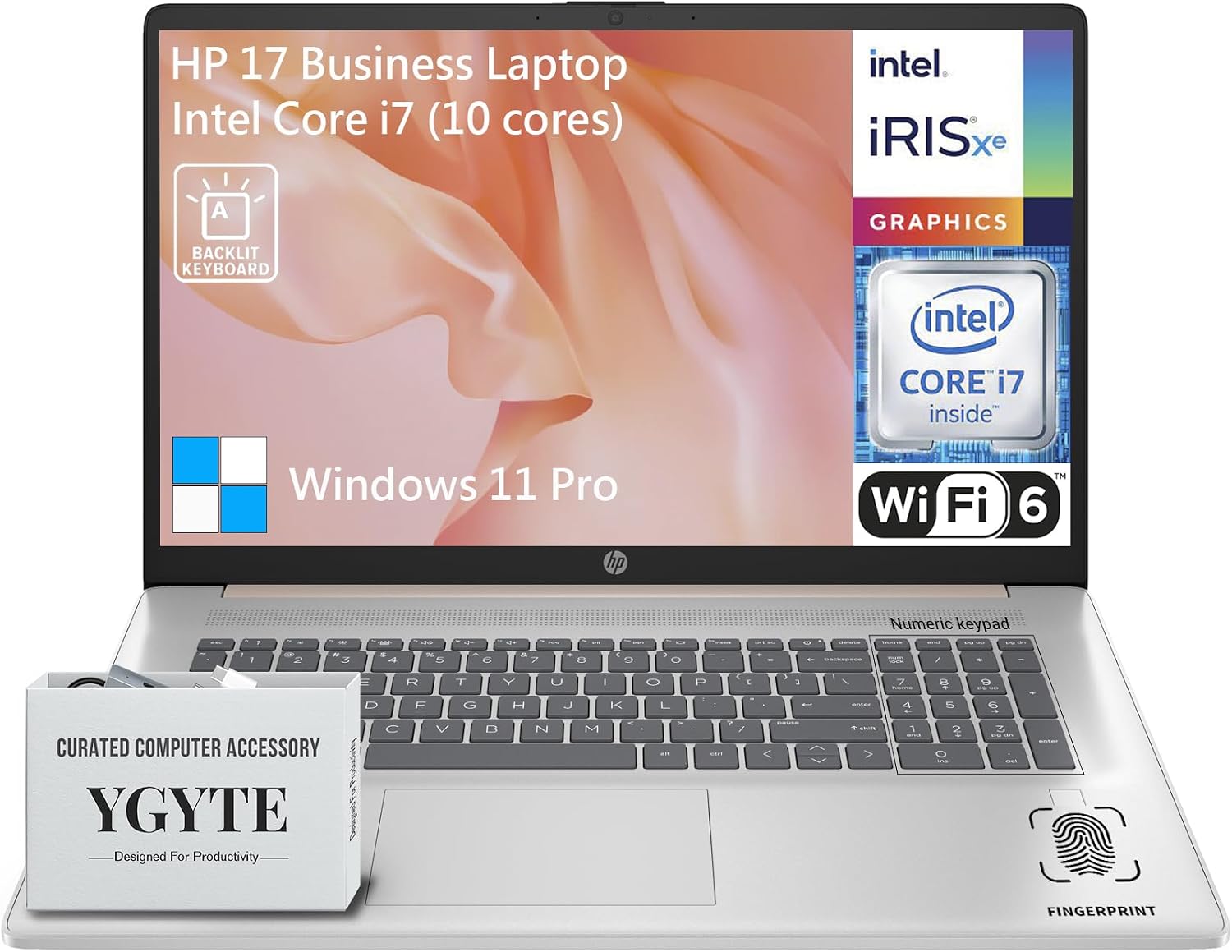HP 17 Touchscreen Laptop PC, 17.3 Inch HD+ Touch Screen Business Laptop Computer, Intel 10-Core i7, Windows 11 Pro, 10-Key Backlit Keyboard |Fingerprint | Rose Gold | 64GB RAM 2TB SSD
