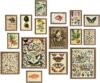 ANERZA 16 PCS Framed Vintage Wall Art Decor, Botanical Cottagecore Wall Prints for Bedroom, Gallery Wall Frame Set, Farmhouse Posters for Living Room Aesthetic, Rustic Dorm Home Collage Kit
