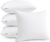 Leeden 22 x 22 Pillow Inserts (Set of 4) – Throw Pillow Inserts with 100% Cotton Cover – 22 Inch Square Interior Sofa Pillow Inserts – Decorative Pillow Insert Pair – White Couch Pillow