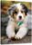 PicPrint 16×20 Personalized Photo to Canvas | Printed With Your Photos (Landscape) – Make Your Own Wall Art. Made in USA.