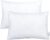 NTBAY 2 Pack Cotton Down Alternative 13×18 Pillows, Machine Washable – Soft and Breathable Travel Small Pillows for Sleeping, Ideal for Daycare, Crib, Cot