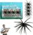 4Pcs Dice Bait, Floating TPR Swimbait with Reflective Stars,Tentacle Creature Lure, Sea Urchin Style Soft Plastic Baits, for Bass Fishing Drop Shot, Wacky Rig/Neko Rig and Finesse, Slow Sinking