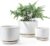 LE TAUCI Ceramic Pots for Plants, 4.3+5.3+6.8 Inch Plant Pots, Indoor Planters with Drainage Hole and Saucer for Succulents, Herbs and Flowers, Set of 3, Satin, White