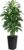 Artificial Dracaena Tree 5FT – Fake Tree with Black Tall Planter – Faux Yucca Tall Fake Floor Plant in Pot – Artificial Plant for Home Office Living Room Decor Indoor
