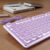 SEUNKWANG Wired Backlit Keyboard with Pudding Keycaps, Quiet Full Size Computer Keyboard White Backlight Easy-to-Read, Never Fade, Metal Panel, USB Cute Desk Setup for Windows PC Desktop, Purple