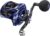 Piscifun Alinox 400 Baitcaster Fishing Reel, 38Lbs Max Drag Aluminum Alloy Frame Baitcasting Reel, Available in 6.6:1/8.1:1 Gear Ratio, Freshwater and Saltwater Low Profile Casting Reel for Musky
