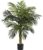 Nearly Natural 4ft Golden Cane Palm, Double Stalk Artificial Tree With Lush Realistic Foliage Maintenance Free Indoor Faux Palm Plant For Living Room, Easy Setup, Perfect Tropical Decoration
